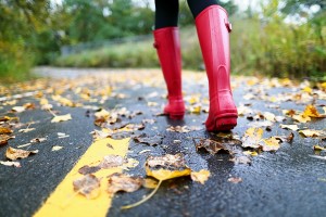 Fall Dangers in Bellevue, WA