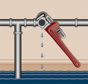 Prevent Water Damage in Bellevue, WA