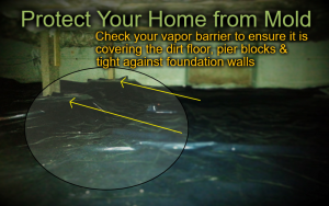 How to Prevent Mold in Bellevue, WA