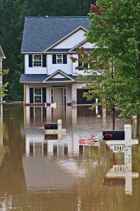 Flood Insurance vs. Sewer Backup Coverage in Bellevue, WA